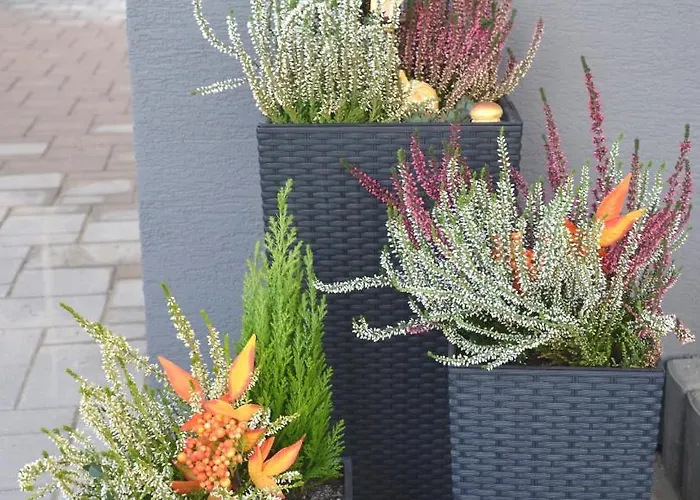 City Apartments 아파트